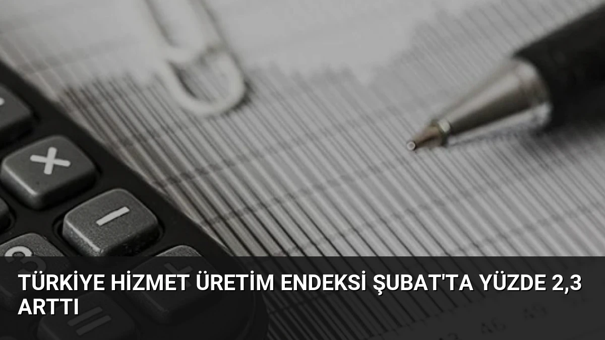 Türkiye Hizmet Üretim Endeksi Şubat’ta Yüzde 2,3 Arttı