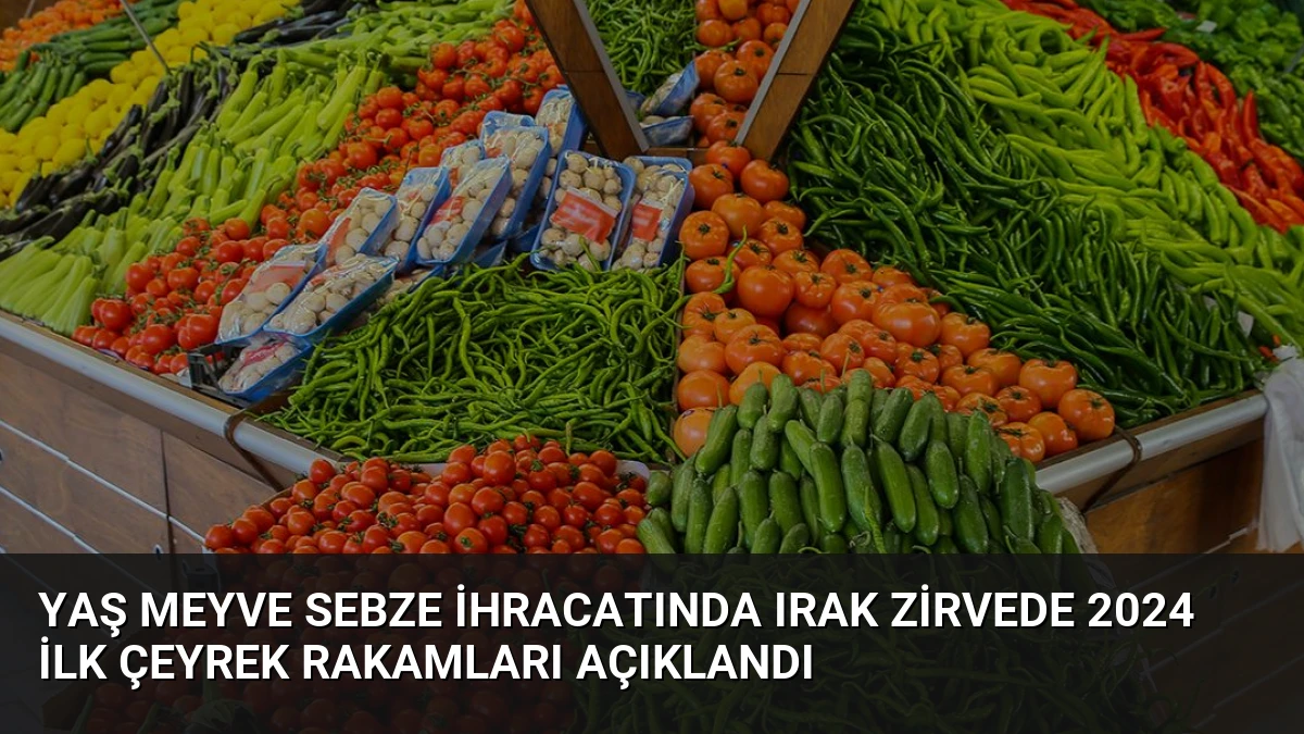 Yaş Meyve Sebze İhracatında Irak Zirvede 2024 İlk Çeyrek Rakamları Açıklandı