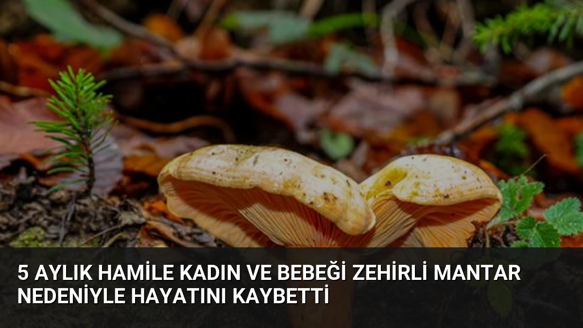 5 Aylık Hamile Kadın ve Bebeği Zehirli Mantar Nedeniyle Hayatını Kaybetti