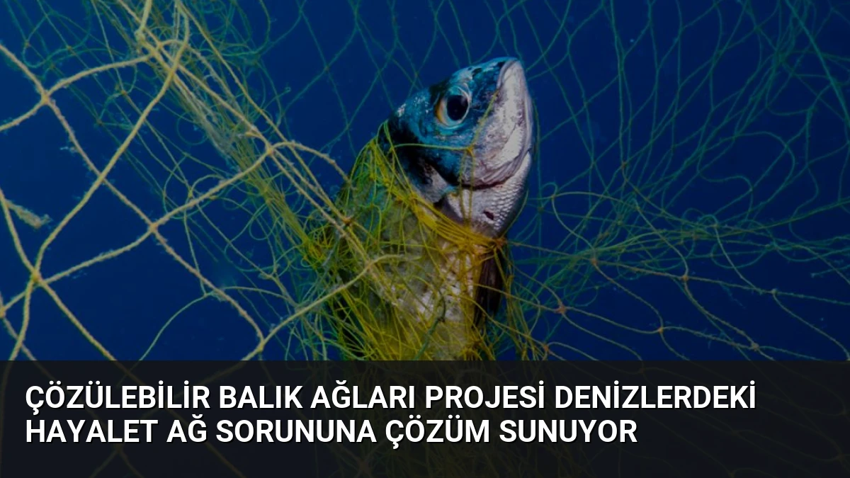 Çözülebilir Balık Ağları Projesi Denizlerdeki Hayalet Ağ Sorununa Çözüm Sunuyor