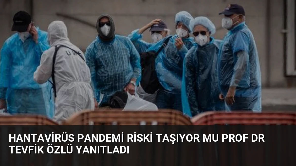 Hantavirüs Pandemi Riski Taşıyor Mu Prof Dr Tevfik Özlü Yanıtladı