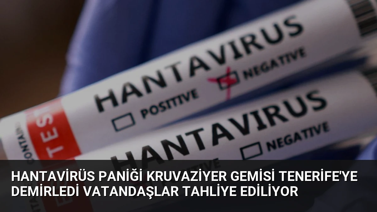 Hantavirüs Paniği Kruvaziyer Gemisi Tenerife’ye Demirledi Vatandaşlar Tahliye Ediliyor