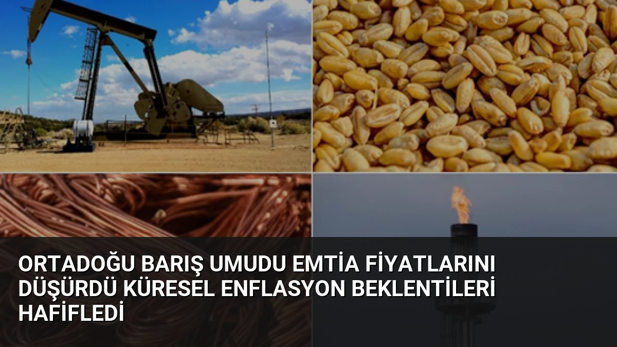 Ortadoğu Barış Umudu Emtia Fiyatlarını Düşürdü Küresel Enflasyon Beklentileri Hafifledi