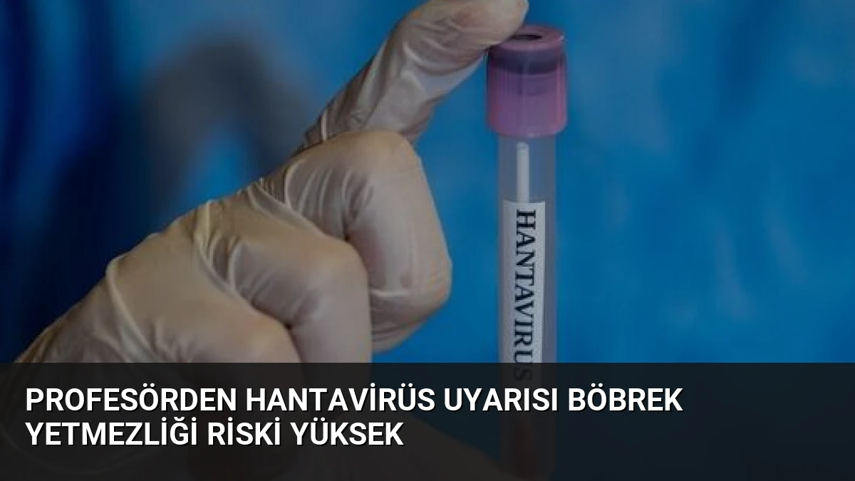 Profesörden Hantavirüs Uyarısı Böbrek Yetmezliği Riski Yüksek