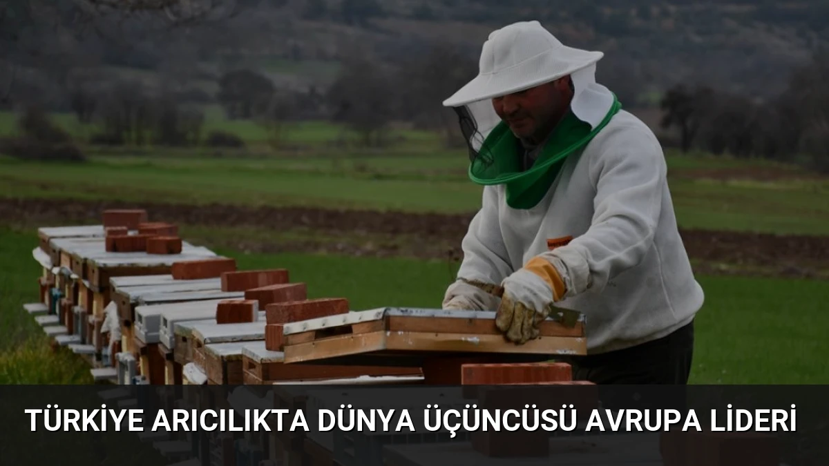 Türkiye Arıcılıkta Dünya Üçüncüsü Avrupa Lideri
