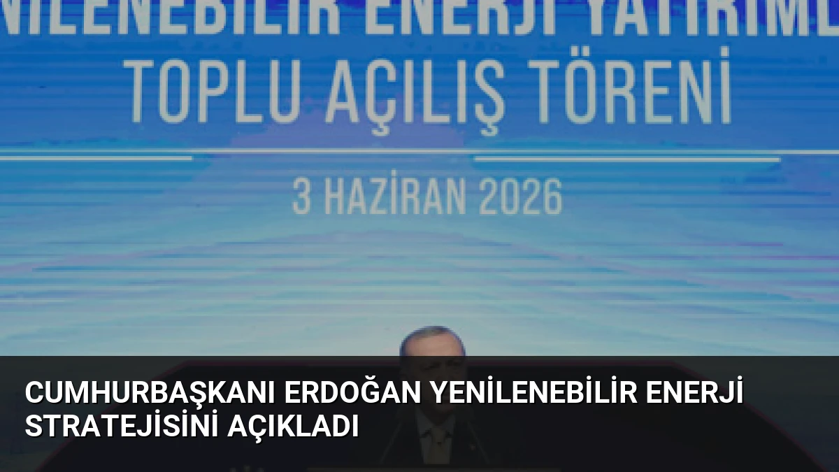Cumhurbaşkanı Erdoğan Yenilenebilir Enerji Stratejisini Açıkladı