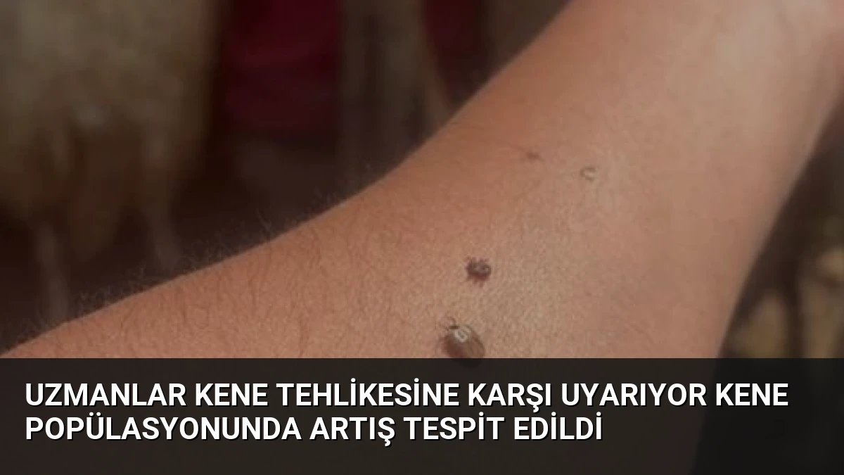 Uzmanlar Kene Tehlikesine Karşı Uyarıyor Kene Popülasyonunda Artış Tespit Edildi