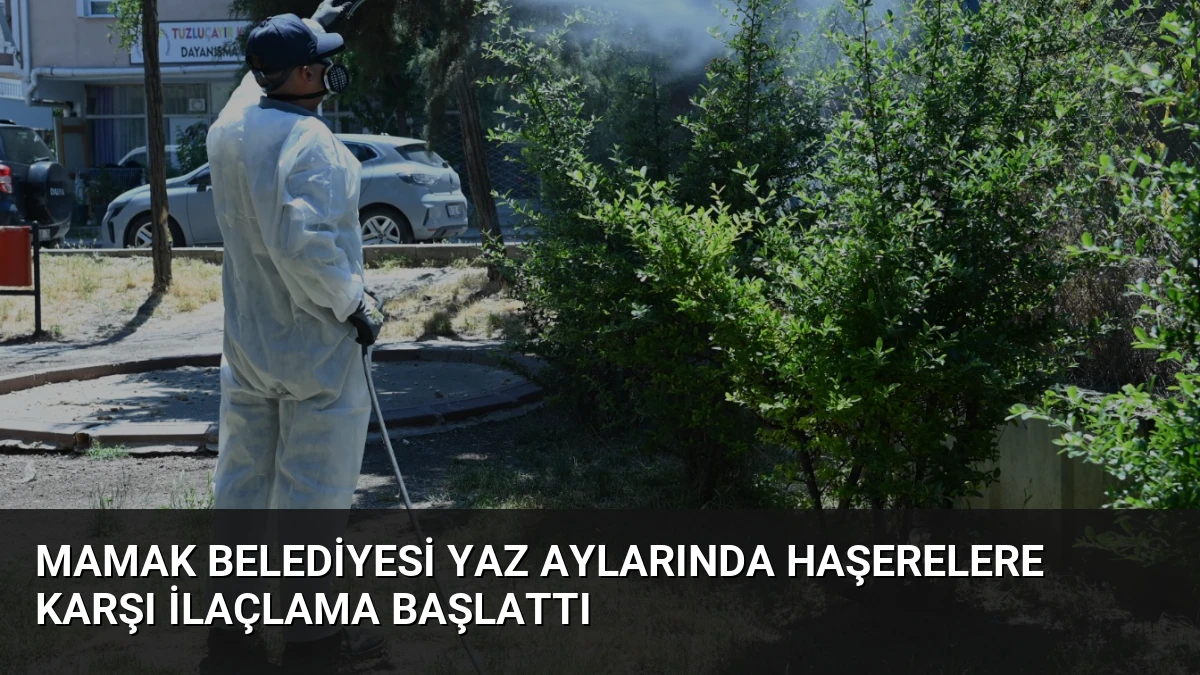 Mamak Belediyesi Yaz Aylarında Haşerelere Karşı İlaçlama Başlattı