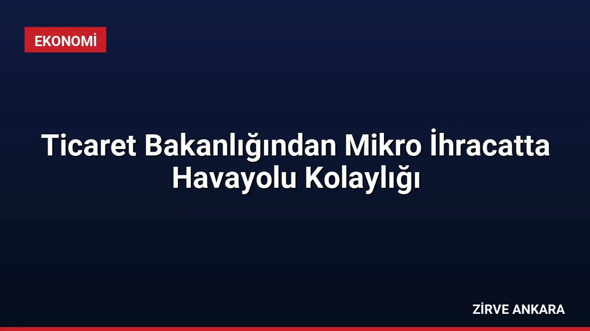 Ticaret Bakanlığından Mikro İhracatta Havayolu Kolaylığı