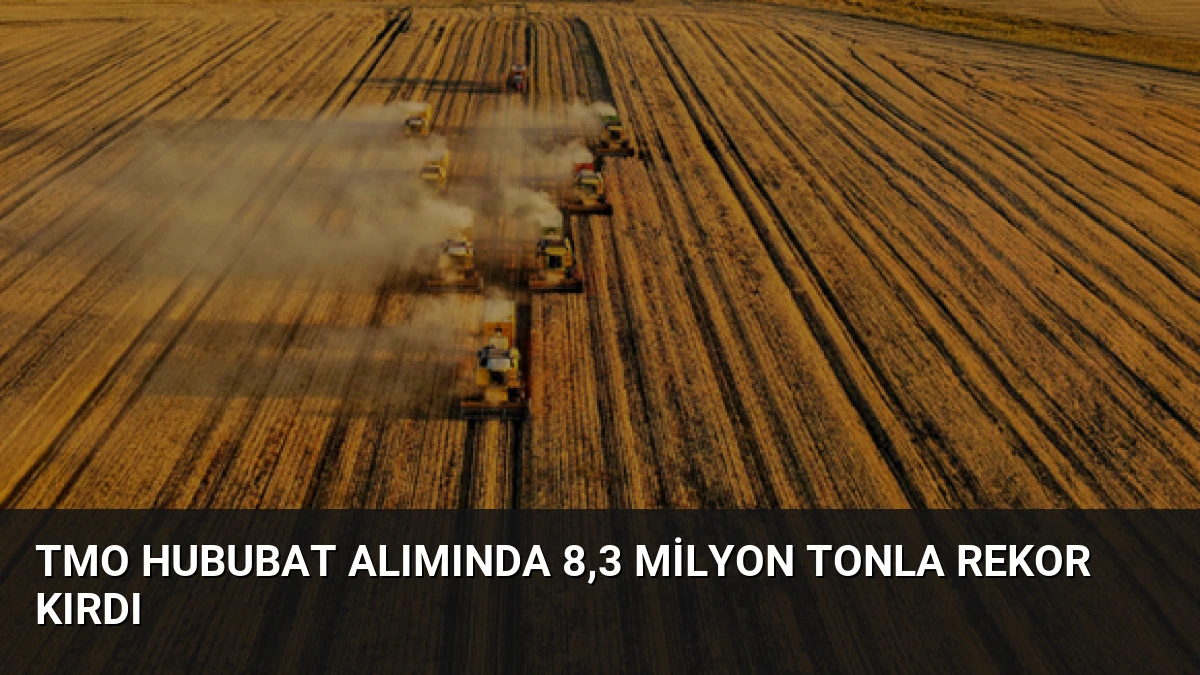 TMO Hububat Alımında 8,3 Milyon Tonla Rekor Kırdı