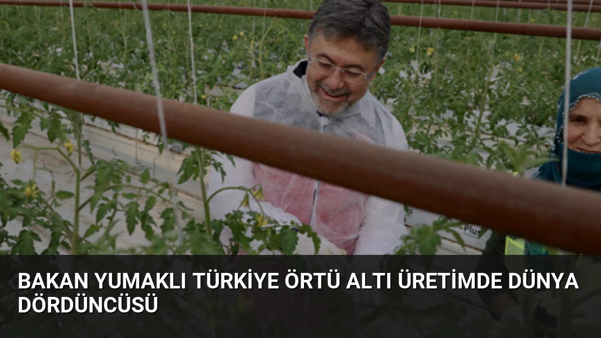 Bakan Yumaklı Türkiye Örtü Altı Üretimde Dünya Dördüncüsü