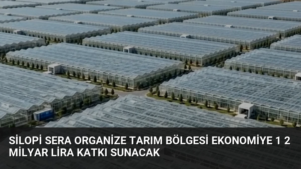 Silopi Sera Organize Tarım Bölgesi Ekonomiye 1 2 Milyar Lira Katkı Sunacak