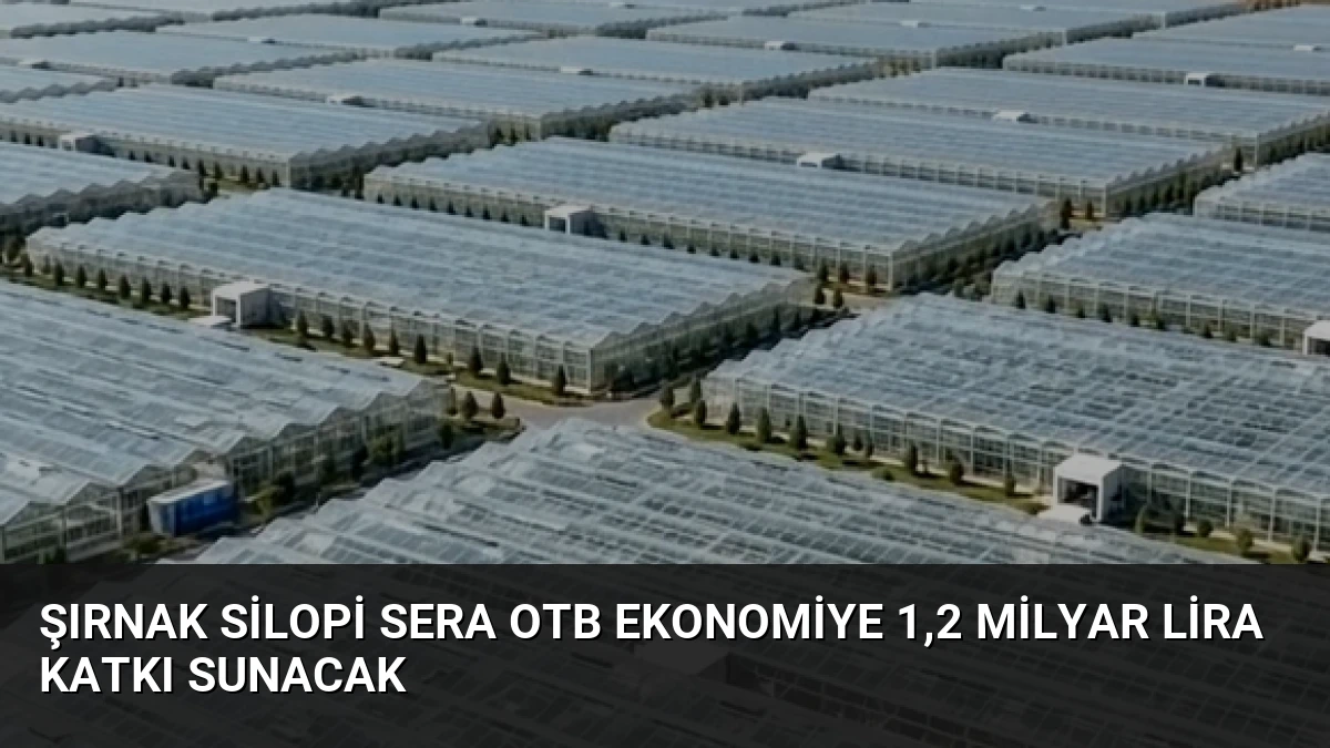 Şırnak Silopi Sera OTB Ekonomiye 1,2 Milyar Lira Katkı Sunacak