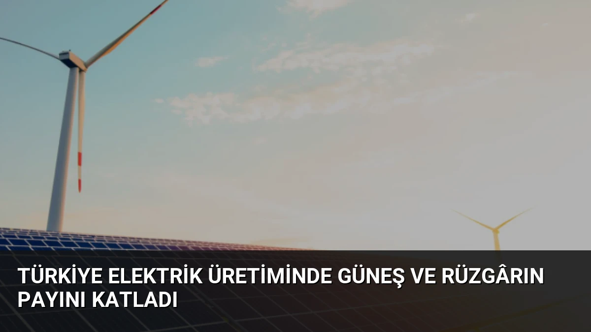 Türkiye elektrik üretiminde güneş ve rüzgârın payını katladı