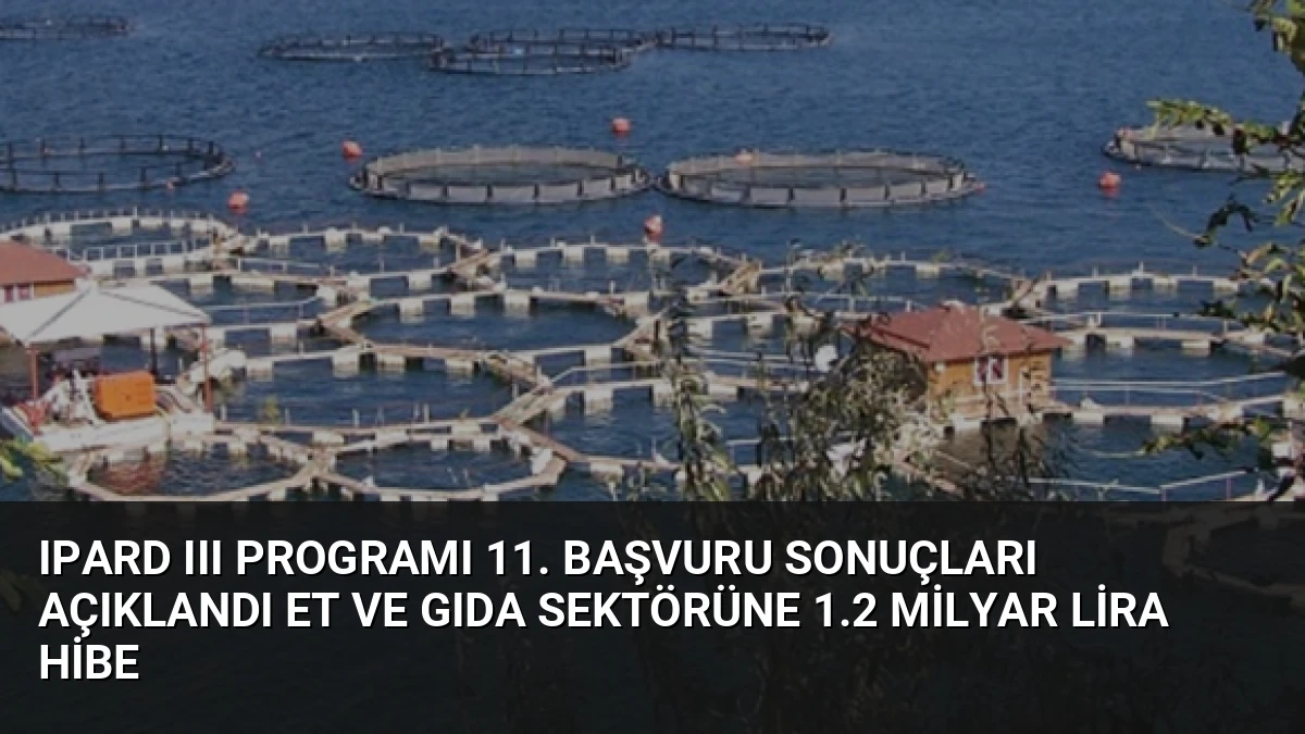 IPARD III Programı 11. Başvuru Sonuçları Açıklandı Et ve Gıda Sektörüne 1.2 Milyar Lira Hibe
